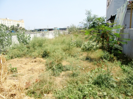  47 Anks North Facing #ReadyforConstruction #PlotforSale in Thimminaidupalem Near Mangalam Road, #Tirupati